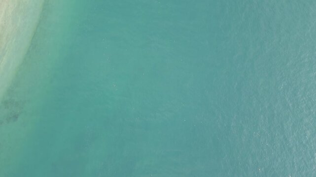 Top Down Aerial Of Turquoise Shallows Meeting Sandy Beach Edge