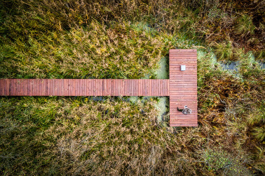 Aerial view of a wooden T-shaped pier over a marshy area with tall reeds and a person standing on the deck in Debrzno, Pomeranian Voivodeship, Poland.