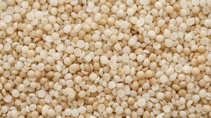 Fototapeta premium Industrial raw plastic pellets background texture showing uniform polymer beads used for injection molding manufacturing processes in a close up overhead view of synthetic raw material granules