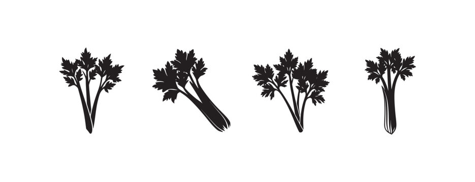 celery stalks with leaves in different positions on white background for food and vegetable design elements