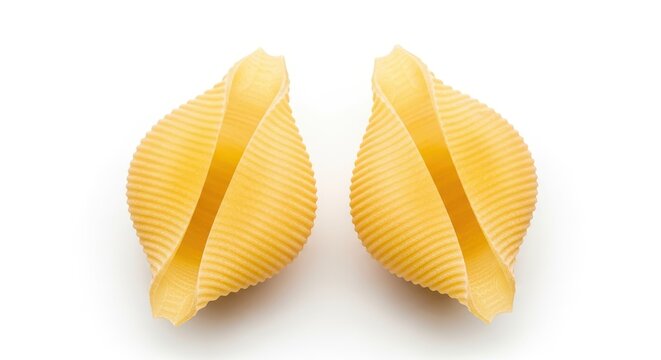 Two raw jumbo shell pasta noodles, isolated on white background