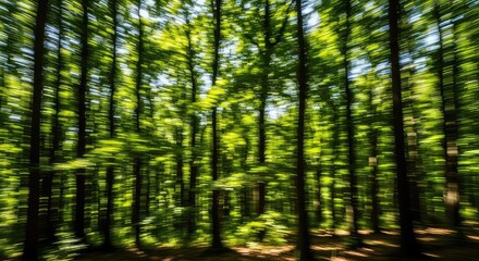 Fototapeta premium A dynamic motion blur of a lush green forest showing streaks of emerald leaves and sunlight filtering through the dense canopy of trees, wilderness, lush, forest