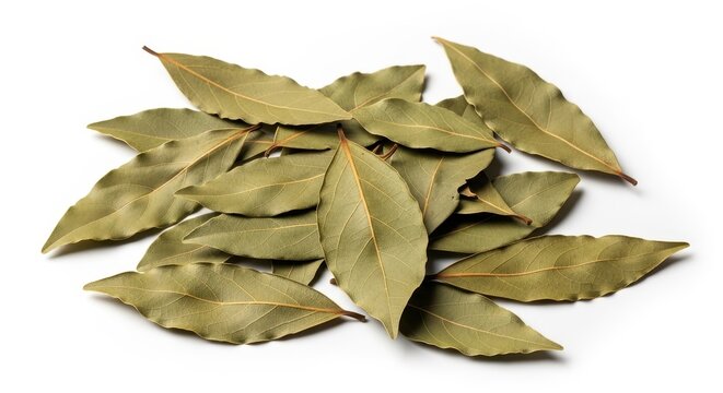 A pile of dried aromatic bay leaves used for cooking and seasoning, isolated on white background