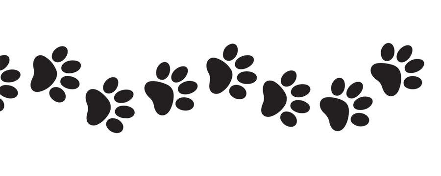 Seamless border pattern of animal paw prints walking across a transparent background design file.