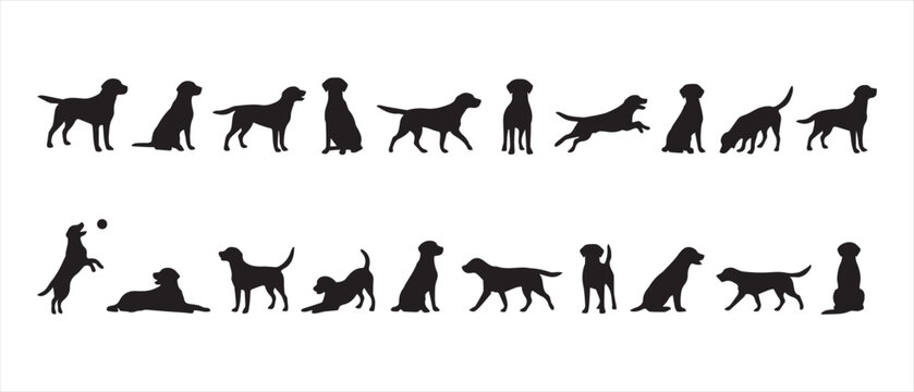 Collection of labrador retriever dog silhouettes showing different poses and activities