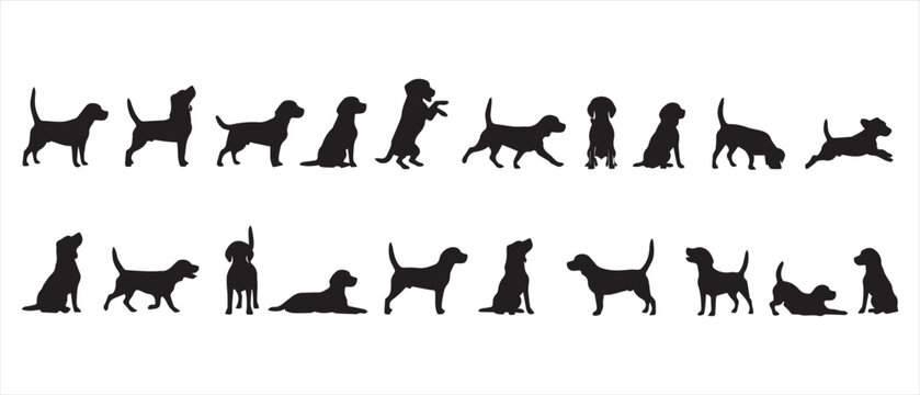 Set of beagle dog silhouettes featuring diverse poses and actions for graphic illustrations