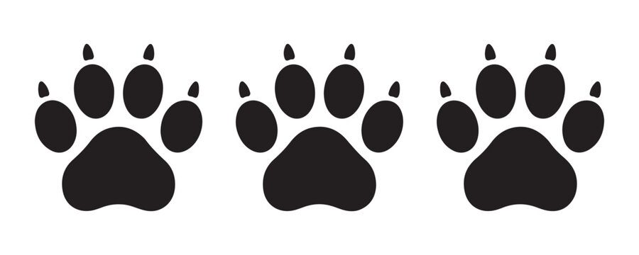 Predator footprint collection with sharp claws silhouettes on gray transparent grid pet track set.
