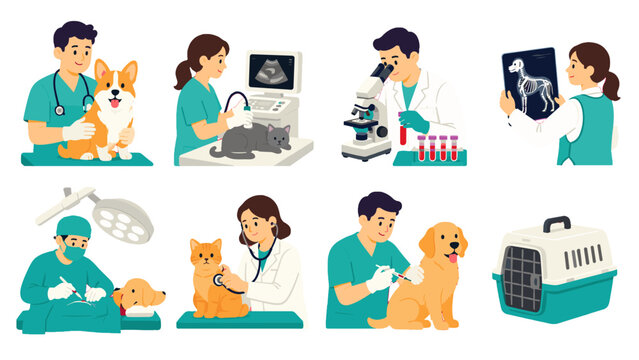 Veterinary care and pet treatment flat illustration set
