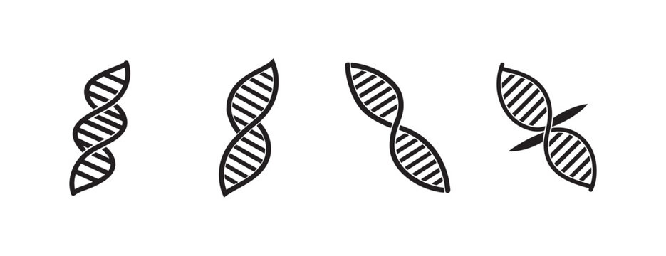 DNA double helix molecular structure illustrations in different orientations and styles for science and genetics concepts  various twisted ladder representations