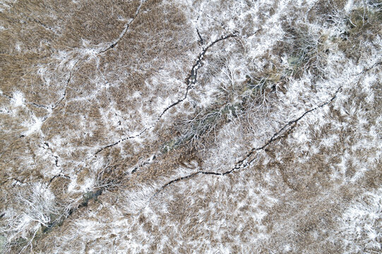Aerial view of snow-dusted reeds and bare trees with winding animal tracks in a winter field Debrzno, Pomeranian Voivodeship, Poland.