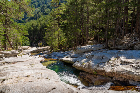 Restonica river natural pools flowing through Corsica forest