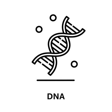 Dna double helix icon featuring a simple line art drawing genetics molecule chromosome genomics scientific research biotechnology structure evolution genotype chemistry