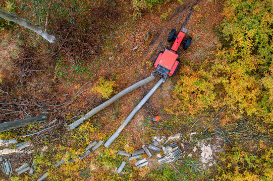 Aerial view of a red tractor skidding logs through an autumn forest with a worker in high-visibility clothing Debrzno, Pomeranian Voivodeship, Poland.