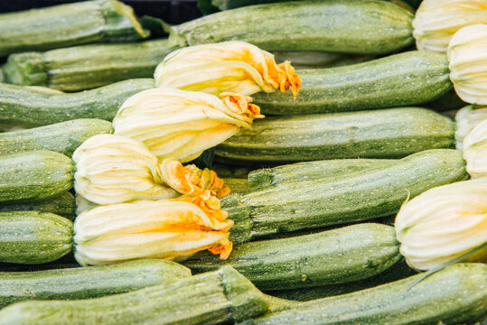 Des courgettes en vente. Longues et belles courgettes biologique. L&eacute;gumes frais sur un &eacute;tal de march&eacute;. Alimentation saine et biologique.