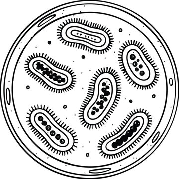 Bacteria cells under microscope view.