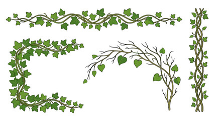Obraz premium Green ivy vine borders and decorative branch frame set