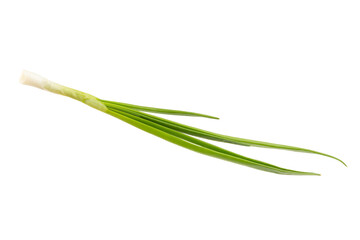Fototapeta premium Green onions isolated on white background. Sliced ​​green onions in a bowl on the table. Fresh herbs on a cutting board. Organic natural greens. Vegan. Space for text. Copy space.