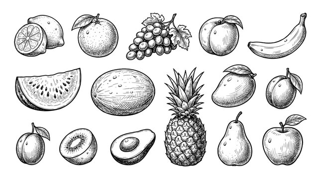 Hand drawn fruit collection with vintage engraved sketches