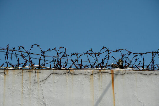 White concrete barrier topped with rusty barbed wire against a clear blue sky. Similar security arrangements are often found on prison walls or other restricted facilities.
