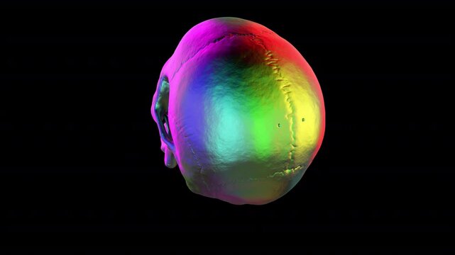 Colorful skull rotating - 3d render looped with alpha channel.