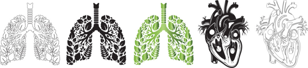 Fototapeta premium Diverse illustrations of stylized lungs and human hearts isolated on transparent background