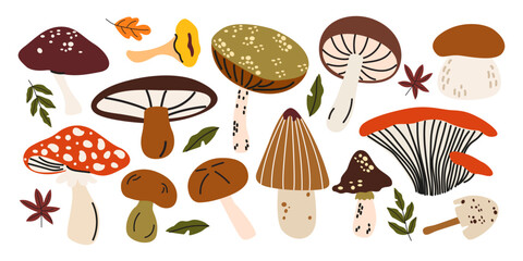 Autumn forest mushrooms set in cartoon doodle style. Various types of wild mushrooms, fly agaric, chanterelles and autumn leaves. Flat vector illustration for fall season design © luamor