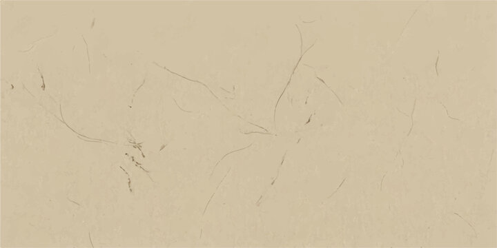 Sketch of a dandelion seed head with delicate fibers against a soft, neutral background, evoking a sense of fragility and natural beauty. for background, design, interior, wall art, branding, ui, web