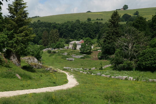 Natural limestone rock formations in Valle delle Sfingi, Lessinia, Veneto, Italy