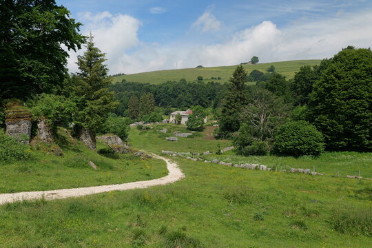 Natural limestone rock formations in Valle delle Sfingi, Lessinia, Veneto, Italy