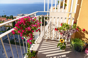 Obraz premium Colorful balcony garden with blooming flowers and stunning sea panorama on a sunny summer day. Concept of urban gardening, Mediterranean lifestyle and outdoor living