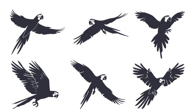 Flying macaw parrot silhouettes, set of 6 tropical bird vector icons, black exotic parrot flying in different poses on white background