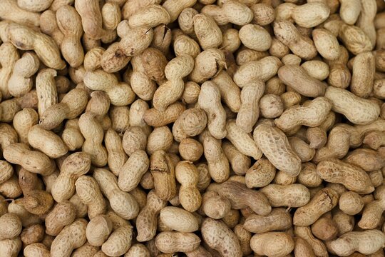 Raw peanuts in shells filling the frame. Healthy plant based snack and agricultural product background with natural texture.