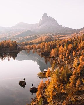 Becco di Mezzodi rises above Lago Federa surrounded by golden autumn forests in the Dolomites. Scenic mountain landscape with reflections and vibrant fall colors