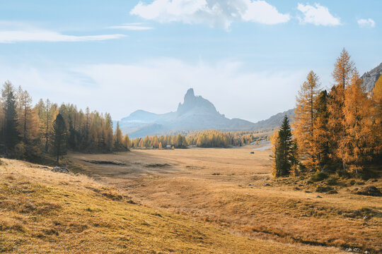 Becco di Mezzodi rises above alpine meadows and golden larch forests in the Dolomites. Scenic autumn landscape with soft morning light and fresh snow
