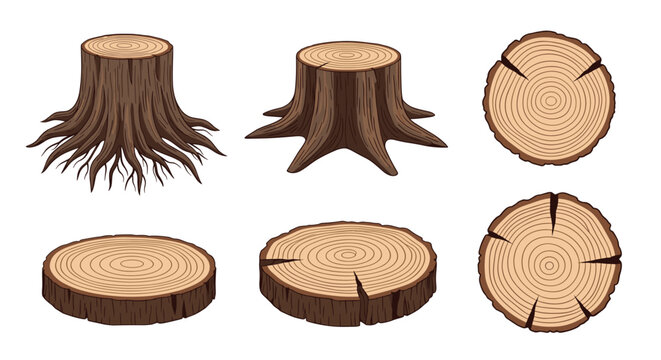 Collection of tree stumps and wood logs showing growth rings and textures in various perspectives for forestry or nature themes.