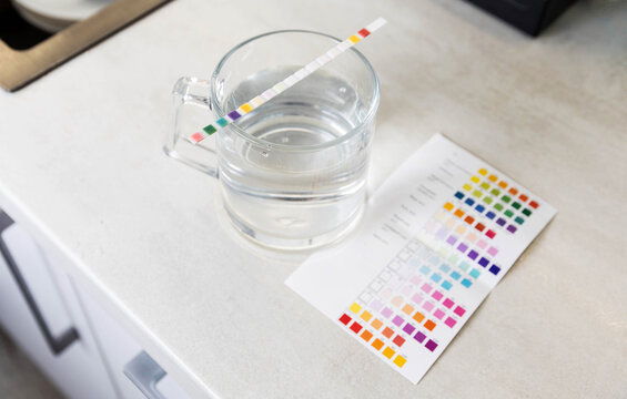 Water testing strip immersed in a glass mug of water with a color chart for parameter comparison on a kitchen countertop, indicating water quality measurement.