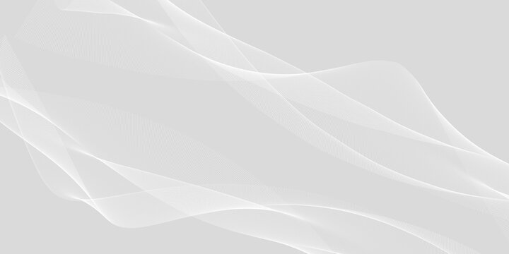 abstract white background with gradient color and artistic dynamic line decoration