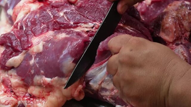 Butcher cutting and trimming fat layer from fresh raw beef meat with a sharp knife. Close-up of hands processing sacrificial animal flesh during Islamic Eid al Adha qurban religious event.