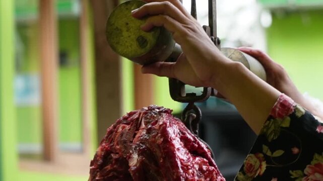 Weighing raw beef meat on a traditional hanging scale hook during Islamic Eid al Adha. Distribution process of sacrificial animal meat for the holy qurban community event. Side view closeup.