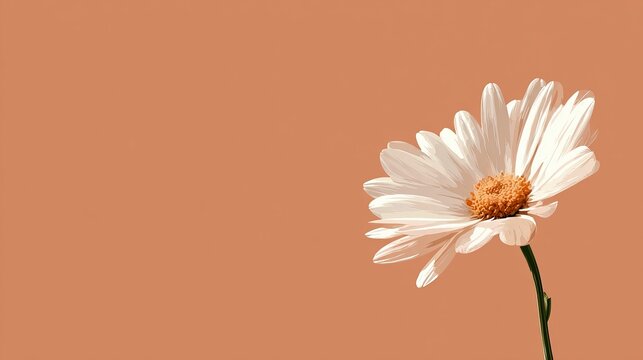 Single white daisy flower with a vibrant yellow center stands against a soft solid terracotta orange background in digital art