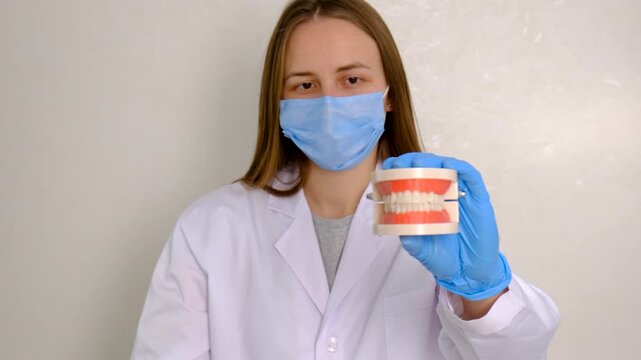 A dentist shows a model of a jaw. Selective focus.