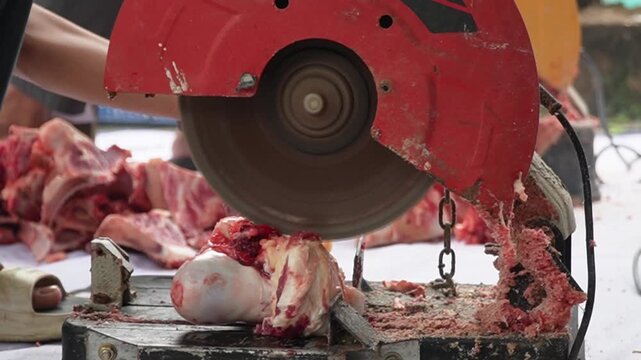 An electric bone saw machine chopping thick beef bones and raw ribs during Islamic Eid al Adha. Close-up of butcher hand slicing hard sacrificial animal bones for qurban meat division process.