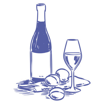 Mediterranean or coastal weekend summer vacation dinner composition in doodle style for poster, placard or menu design. Vector isolated ink line art hand drawn bottle of wine, wineglass and peaches.