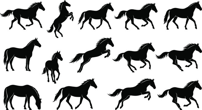 Horse silhouettes collection set, running jumping rearing and grazing horses vector isolated icons, equestrian equine sports stallion mare design elements