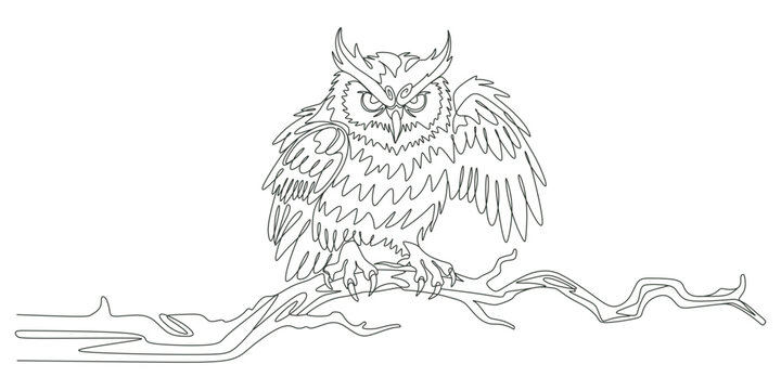 Continuous one line drawing of angry owl perched on a tree branch, vector illustration