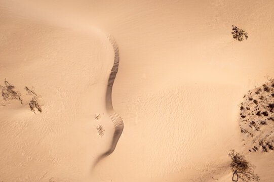 Aerial view of the vast sand dunes of Parque Natural de Corralejo with ripples and sparse desert vegetation Corralejo, Canary Islands, Spain.
