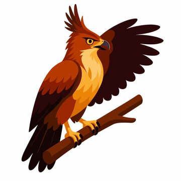 Majestic Javan Hawk Eagle Illustration Perched On Tree Branch Proud Eagle Hawk With Crest Spreading Wing Indonesian Wildlife Mascot Character Vector Graphic Artwork Design Element
