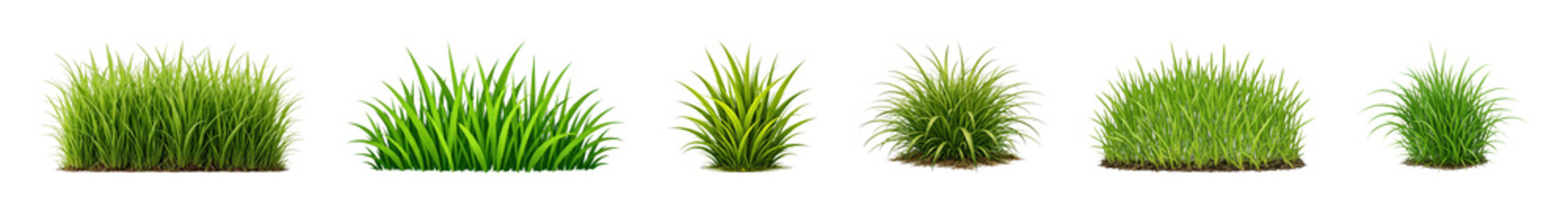 Fototapeta premium PNG Variety of lush green bushes on transparent background