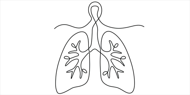 Human lungs with trachea continuous line art vector illustration minimalist anatomy and breathing health concept