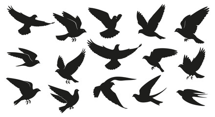 Silhouettes of birds in various flight positions © Sudha